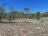 1364 Giants Creek Road, Sandy Hollow, NSW 2333-Image