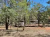 1364 Giants Creek Road, Sandy Hollow, NSW 2333-Image