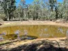 1364 Giants Creek Road, Sandy Hollow, NSW 2333-Image
