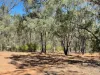 1364 Giants Creek Road, Sandy Hollow, NSW 2333-Image