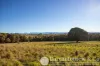 137 Kulgun Road, Kulgun, Qld 4309-Image