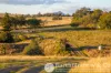 137 Kulgun Road, Kulgun, Qld 4309-Image