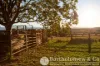 137 Kulgun Road, Kulgun, Qld 4309-Image