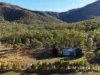 137 Lemontree Drive, Mutchilba, Qld 4872