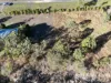 137 Lemontree Drive, Mutchilba, Qld 4872-Image