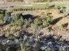 137 Lemontree Drive, Mutchilba, Qld 4872-Image