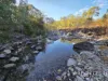 137 Lemontree Drive, Mutchilba, Qld 4872-Image