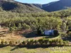 137 Lemontree Drive, Mutchilba, Qld 4872-Image