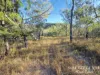 137 Lemontree Drive, Mutchilba, Qld 4872-Image