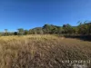 137 Lemontree Drive, Mutchilba, Qld 4872-Image