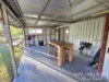 137 Lemontree Drive, Mutchilba, Qld 4872-Image