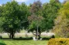138 Bibbys Lane, Werai, NSW 2577-Image