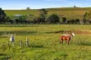 138 Bibbys Lane, Werai, NSW 2577-Image