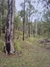 139 Doughboy Road, Doughboy, Qld 4671-Image