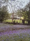 139 Doughboy Road, Doughboy, Qld 4671-Image