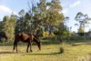 139 Lake Road, Elrington, NSW 2325-Image