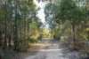 139 Lake Road, Elrington, NSW 2325-Image