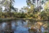 139 Lake Road, Elrington, NSW 2325-Image