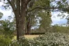 139 Valewood Road, Geham QLD 4352-Image