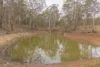 139 Valewood Road, Geham QLD 4352-Image