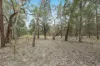 1393 Spring Creek Road, Mudgee, NSW 2850-Image