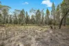 1393 Spring Creek Road, Mudgee, NSW 2850-Image