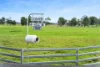 1395 Woodburn, Coraki NSW 2471-Image