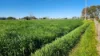 1399 Macleay Valley Way, Seven Oaks, NSW 2440-Image