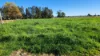 1399 Macleay Valley Way, Seven Oaks, NSW 2440-Image