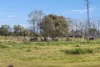1399 Macleay Valley Way, Seven Oaks, NSW 2440-Image