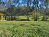 14, 17 Prospero Drive, Tumut, NSW 2720-Image
