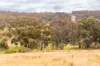 14 Broken Shaft Close, Orange, NSW 2800-Image