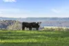 14 Brumbys Road, Sunnyside, Tas 7305-Image