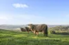 14 Brumbys Road, Sunnyside, Tas 7305-Image