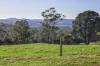 14 Brumbys Road, Sunnyside, Tas 7305-Image
