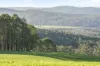 14 Brumbys Road, Sunnyside, Tas 7305-Image
