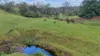 14, Pinnacle QLD 4741-Image