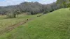 14, Pinnacle QLD 4741-Image