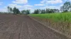 14, Pinnacle QLD 4741-Image