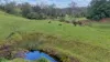 14 Pinnacle Station Road, Pinnacle, Qld 4741-Image