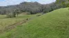 14 Pinnacle Station Road, Pinnacle, Qld 4741-Image