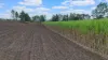 14 Pinnacle Station Road, Pinnacle, Qld 4741-Image