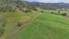 14 Pinnacle Station Road, Pinnacle, Qld 4741-Image