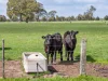 1405 Henty Highway, Hensley Park, Vic 3301-Image