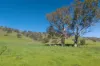 1407 Murray Valley Highway, Huon VIC 3695-Image