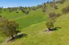 1407 Murray Valley Highway, Huon VIC 3695-Image