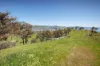 1407 Murray Valley Highway, Huon VIC 3695-Image