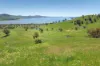 1407 Murray Valley Highway, Huon VIC 3695-Image
