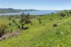 1407 Murray Valley Highway, Huon VIC 3695-Image