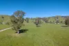 1407 Murray Valley Highway, Huon VIC 3695-Image